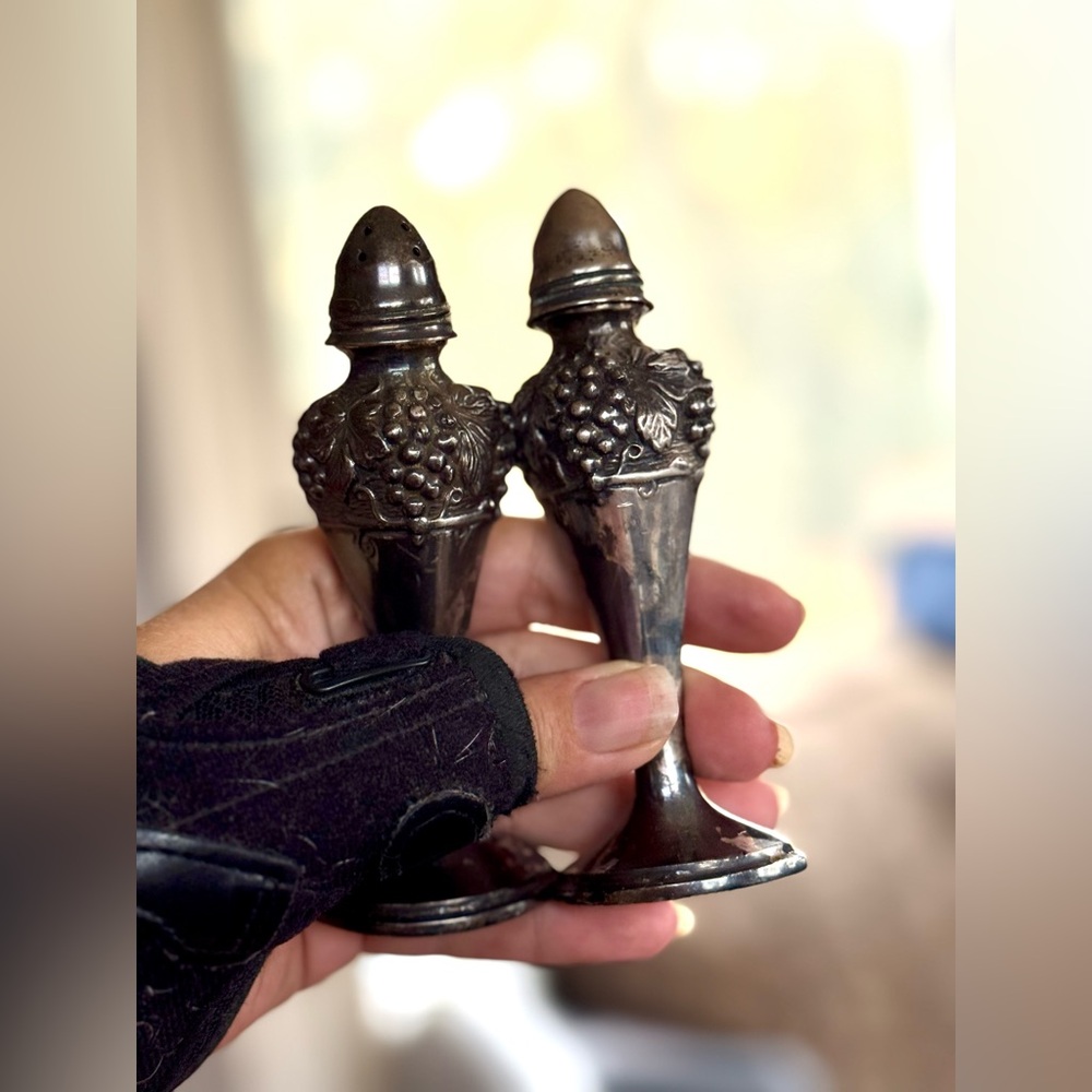Elegant Silver Salt and Pepper Shakers